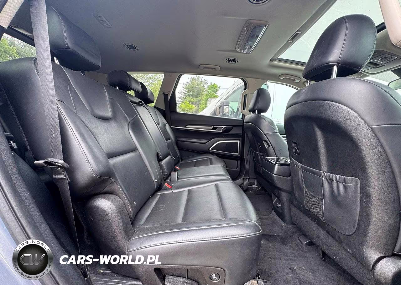2020 Kia Telluride S VIN:5XYP64HC0LG065187 - 6