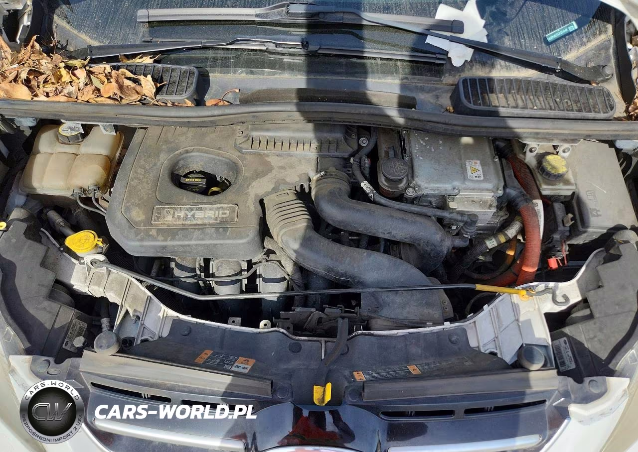 2013 Ford C-Max Se VIN:1FADP5AU5DL524542 - 11