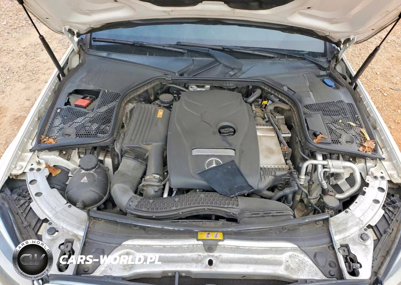 2017 Mercedes-Benz C 300 VIN:55SWF4JB8HU202872 - 11