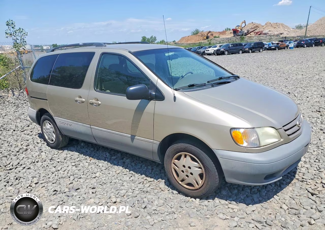 2002 Toyt Sienna VIN:4T3ZF19C02U489801 - 4