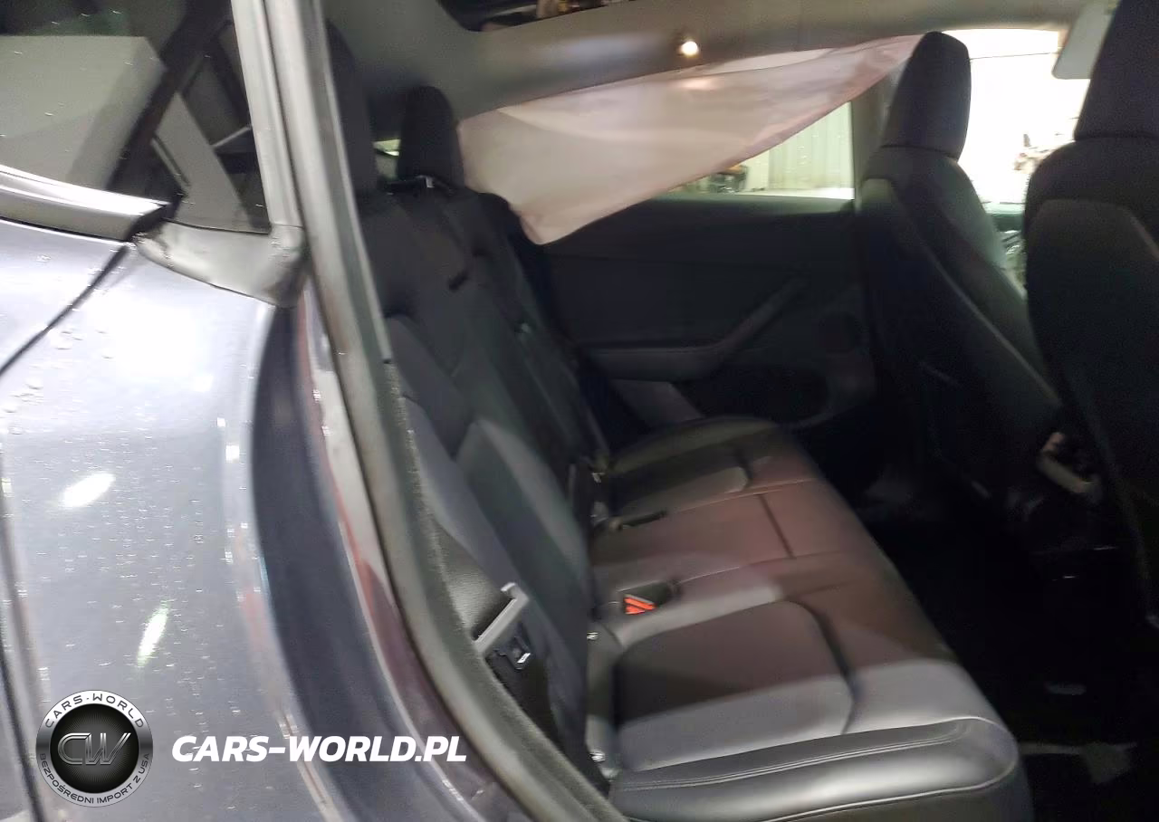 2023 Tesla Model Y VIN:7SAYGDEE7PF689690 - 10