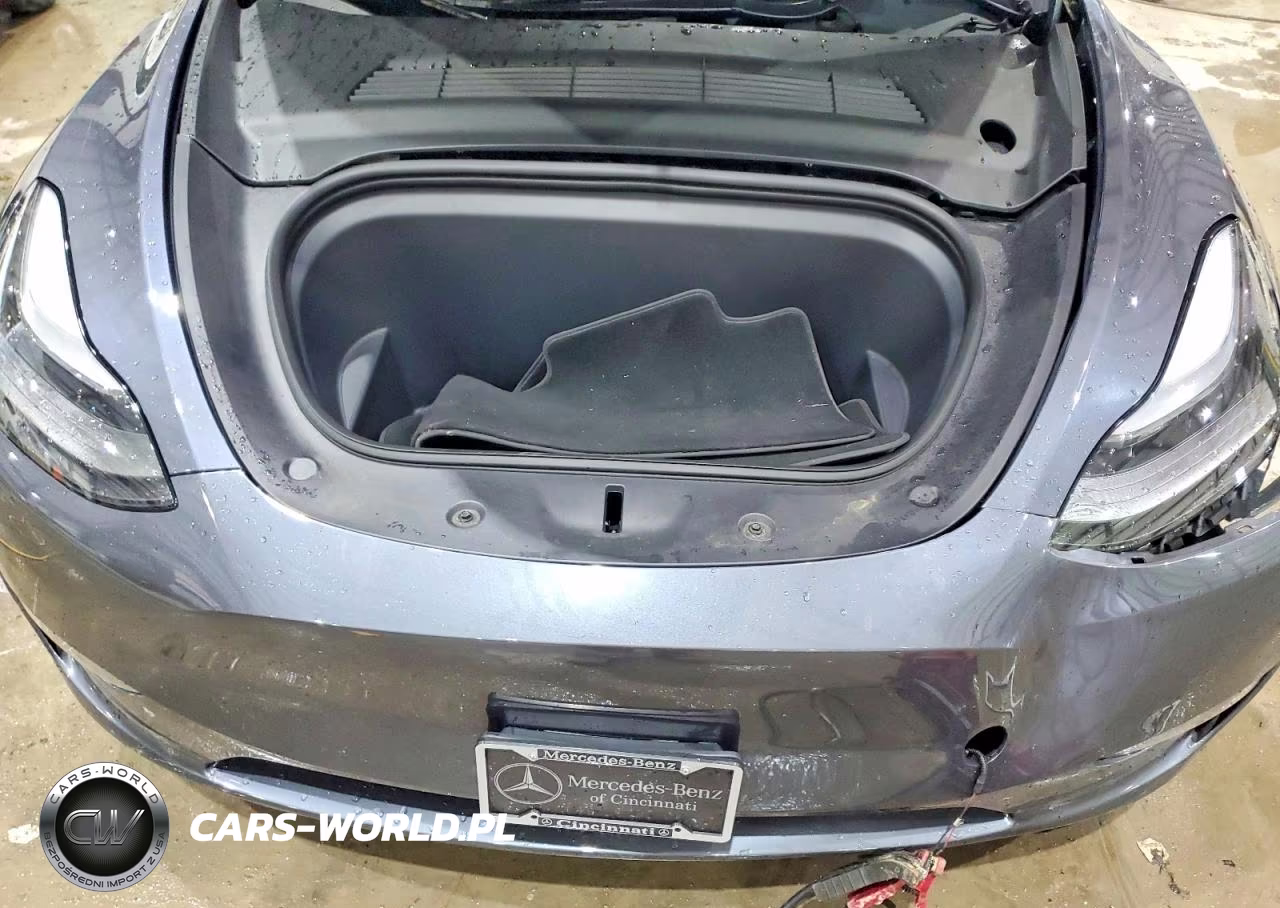 2023 Tesla Model Y VIN:7SAYGDEE7PF689690 - 11
