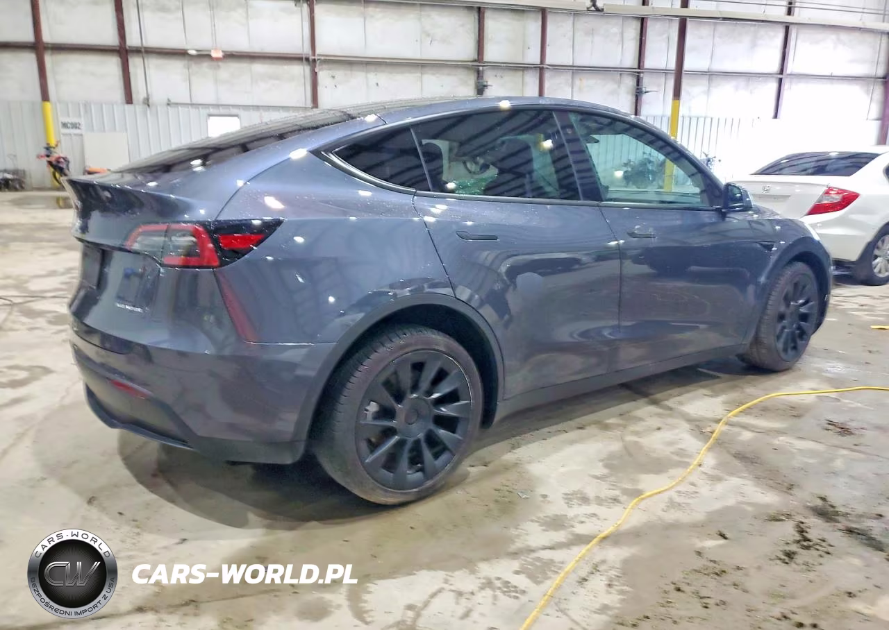 2023 Tesla Model Y VIN:7SAYGDEE7PF689690 - 3