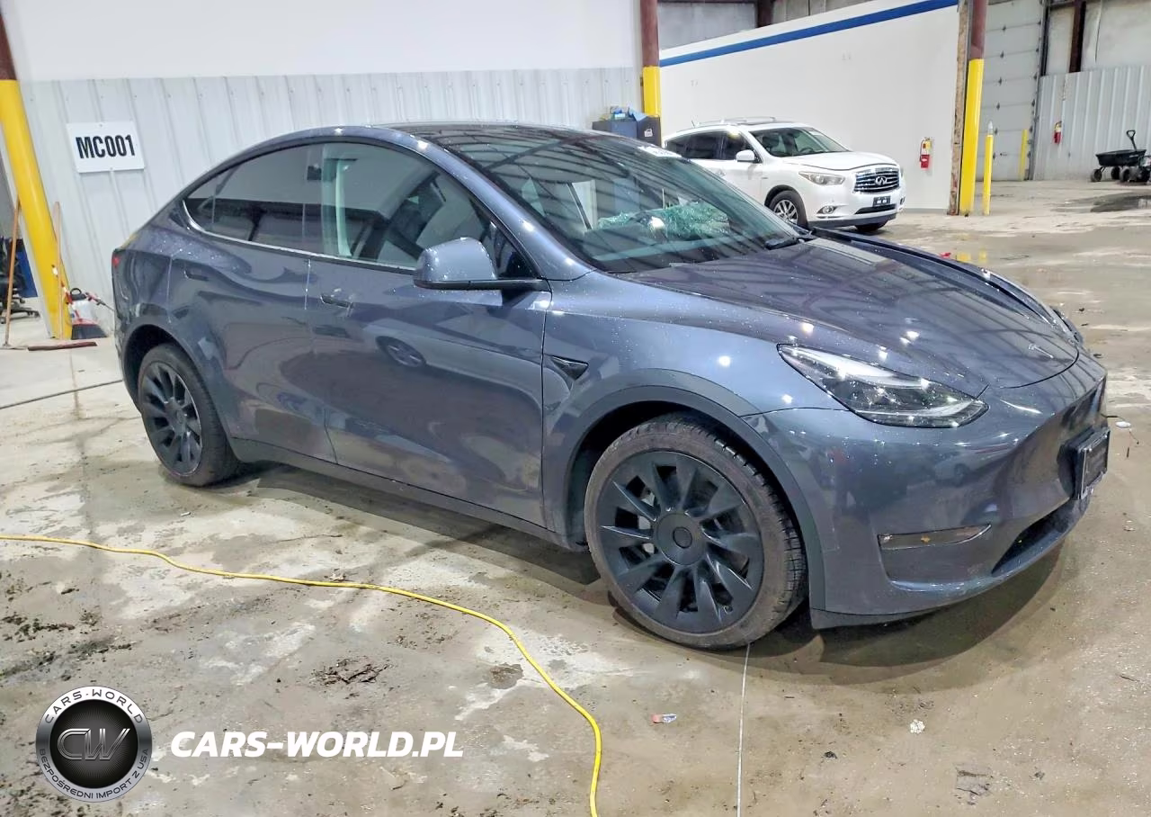 2023 Tesla Model Y VIN:7SAYGDEE7PF689690 - 4