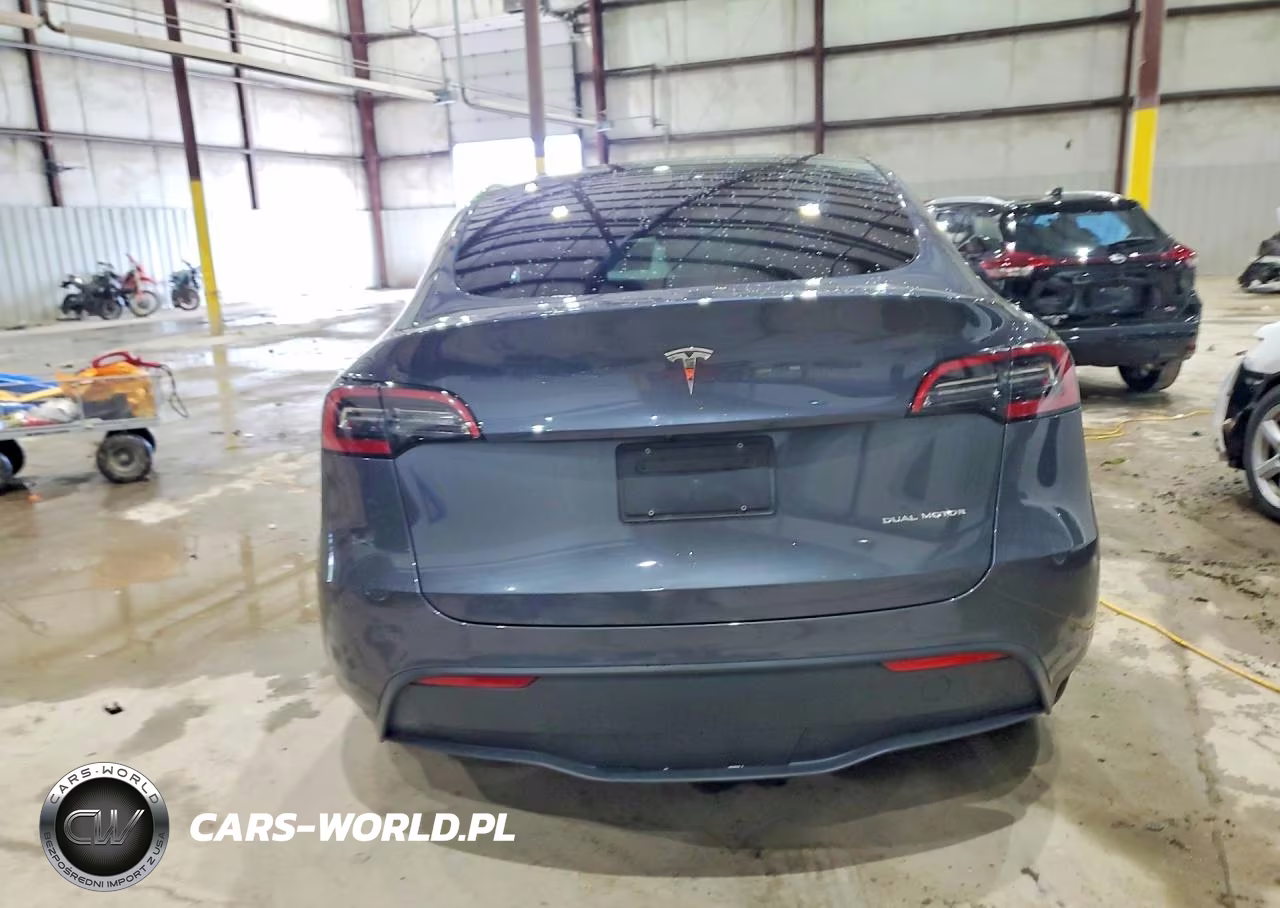 2023 Tesla Model Y VIN:7SAYGDEE7PF689690 - 6