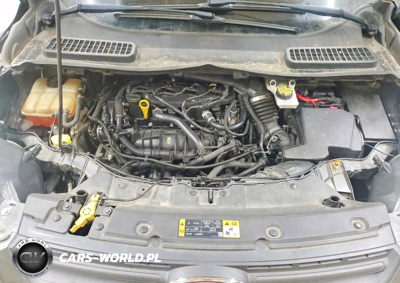 2014 Ford Escape Se VIN:1FMCU0GX8EUB15378 - 12