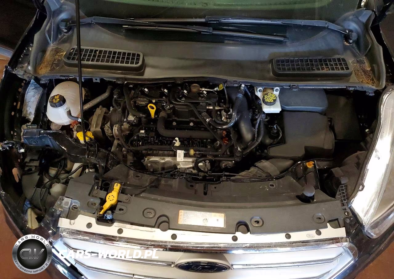 2019 Ford Escape Se VIN:1FMCU9GD4KUB53499 - 12