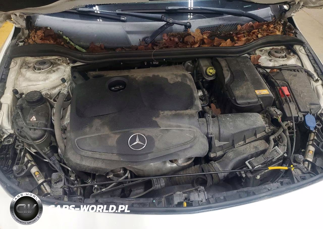 2015 Mercedes-Benz Cla 250 VIN:WDDSJ4EB9FN176182 - 11