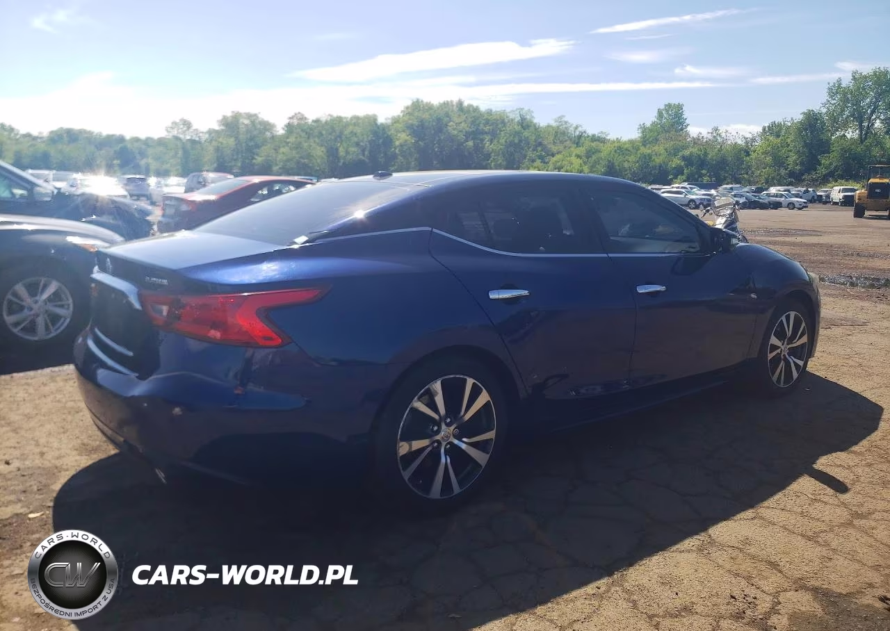 2016 Nissan Maxima Platinum VIN:1N4AA6APXGC380513 - 3