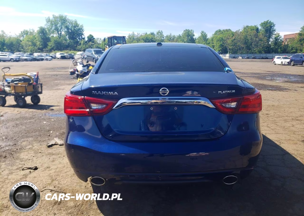 2016 Nissan Maxima Platinum VIN:1N4AA6APXGC380513 - 6