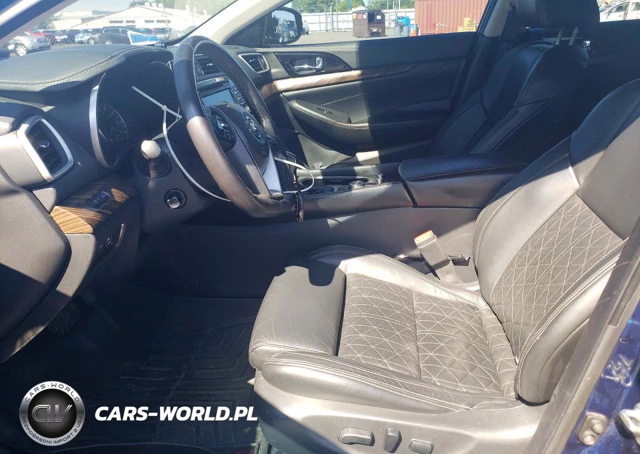 2016 Nissan Maxima Platinum VIN:1N4AA6APXGC380513 - 7