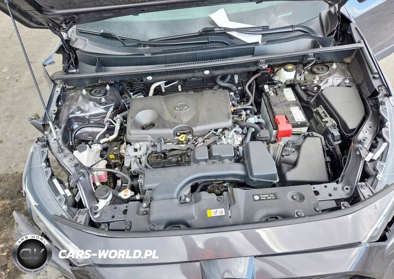 2025 Toyota Rav4 Xle VIN:2T3W1RFV5SC303726 - 12