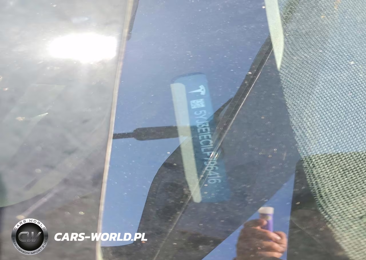2020 Tesla Model 3 VIN:5YJ3E1EC1LF796416 - 12