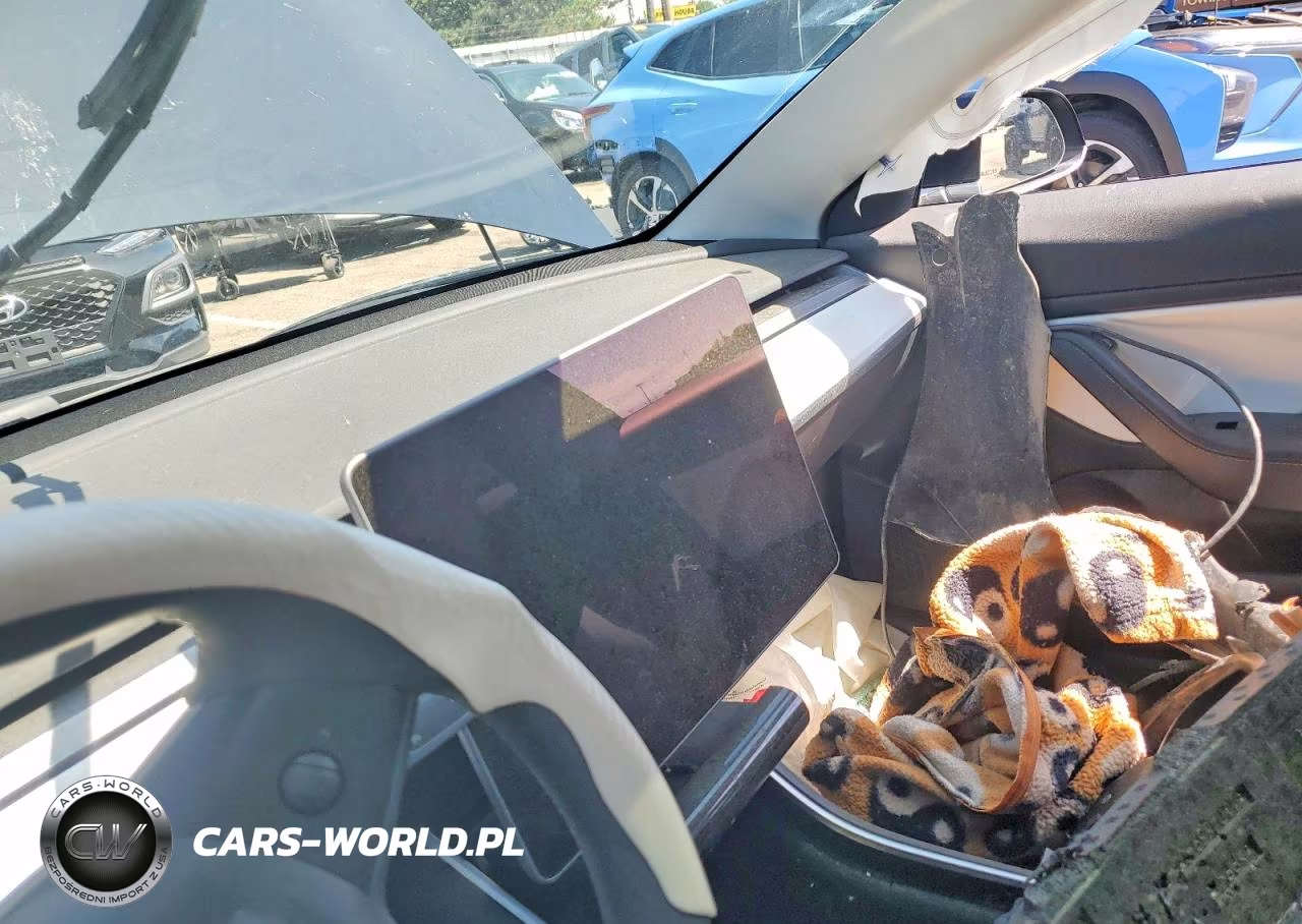2020 Tesla Model 3 VIN:5YJ3E1EC1LF796416 - 9