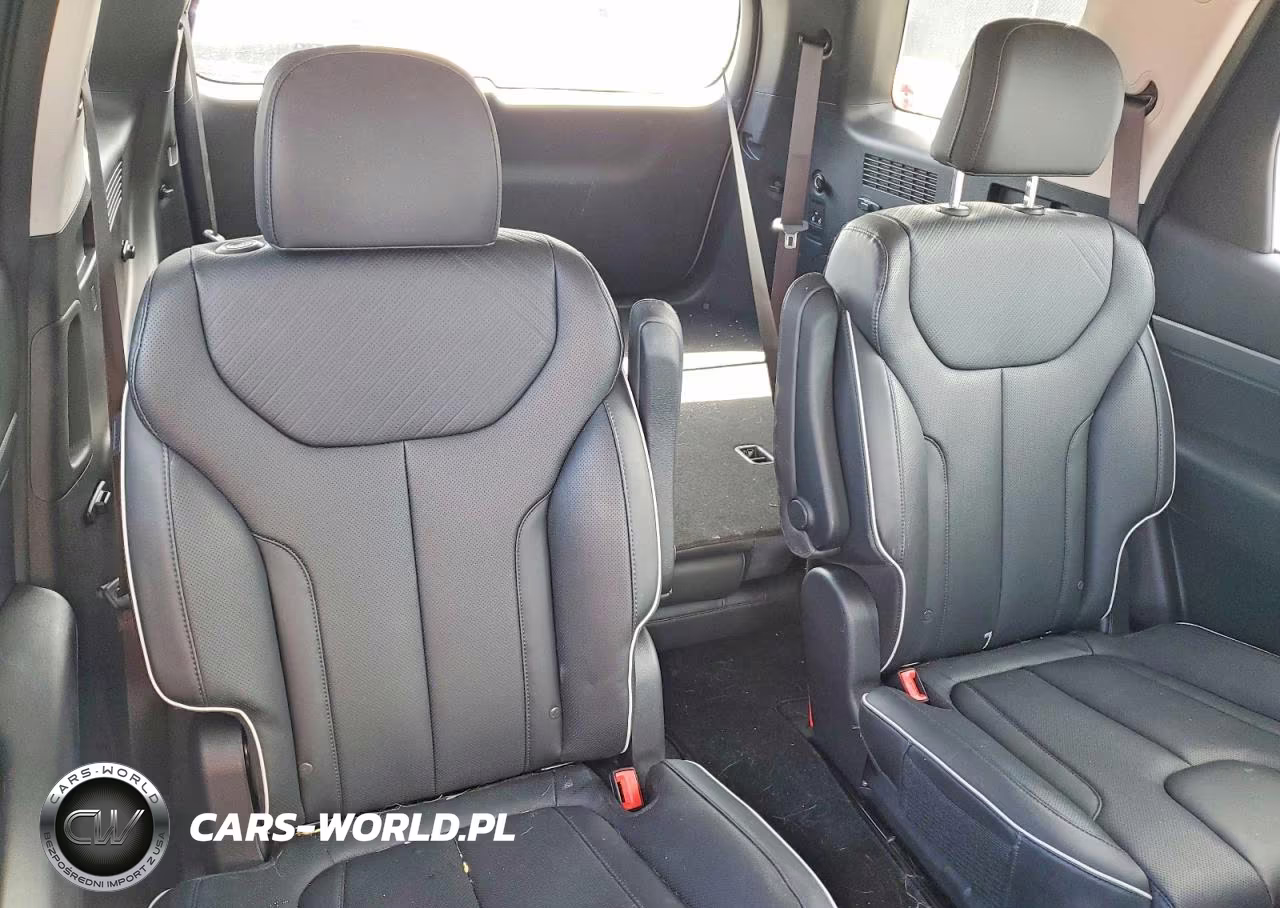 2025 Hyundai Palisade Sel VIN:KM8R24GE4SU880931 - 10
