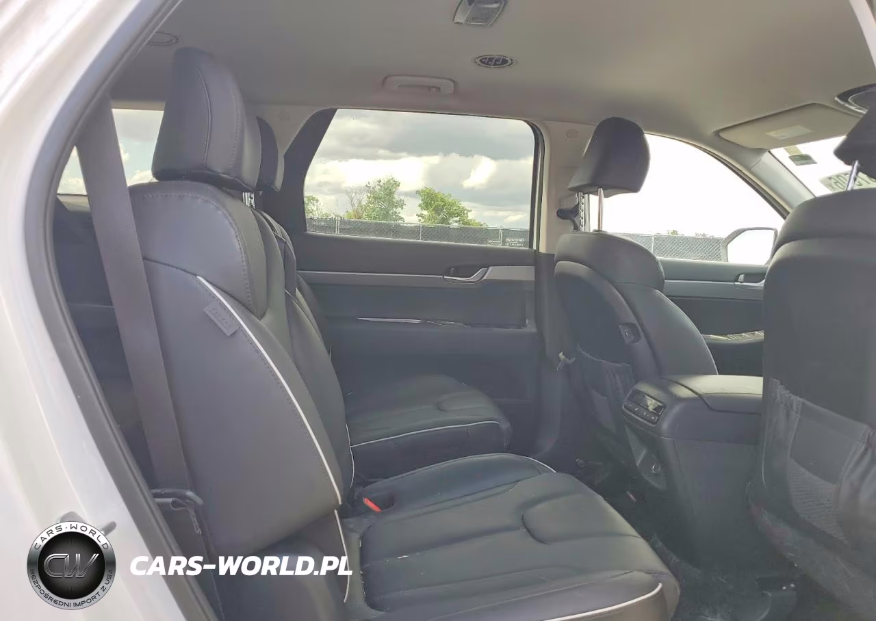 2025 Hyundai Palisade Sel VIN:KM8R24GE4SU880931 - 11