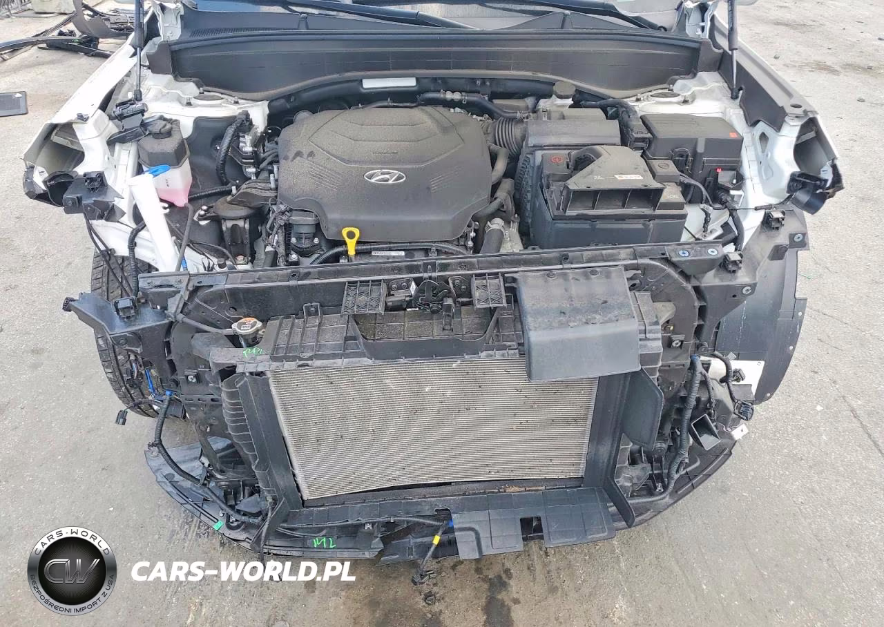 2025 Hyundai Palisade Sel VIN:KM8R24GE4SU880931 - 12