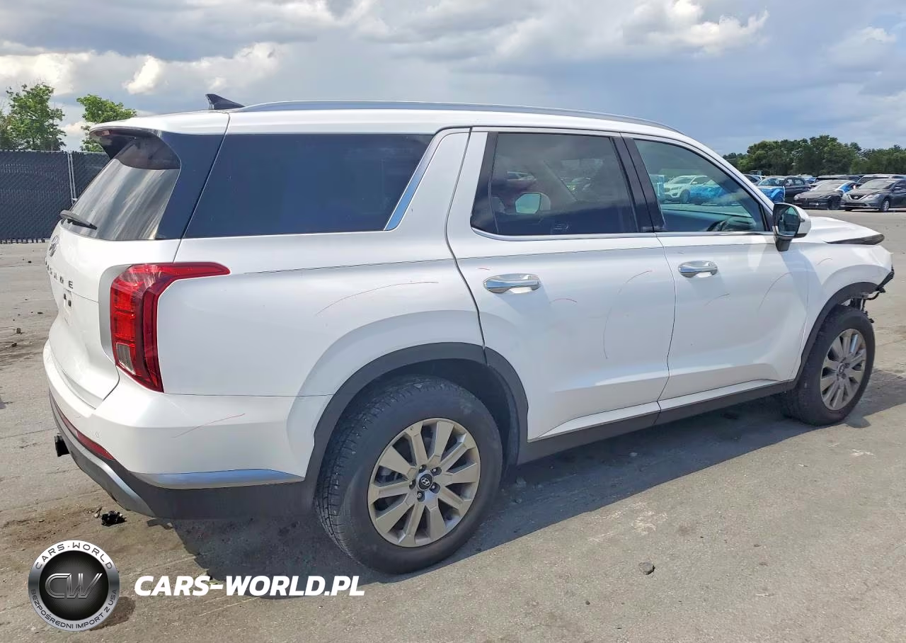 2025 Hyundai Palisade Sel VIN:KM8R24GE4SU880931 - 3