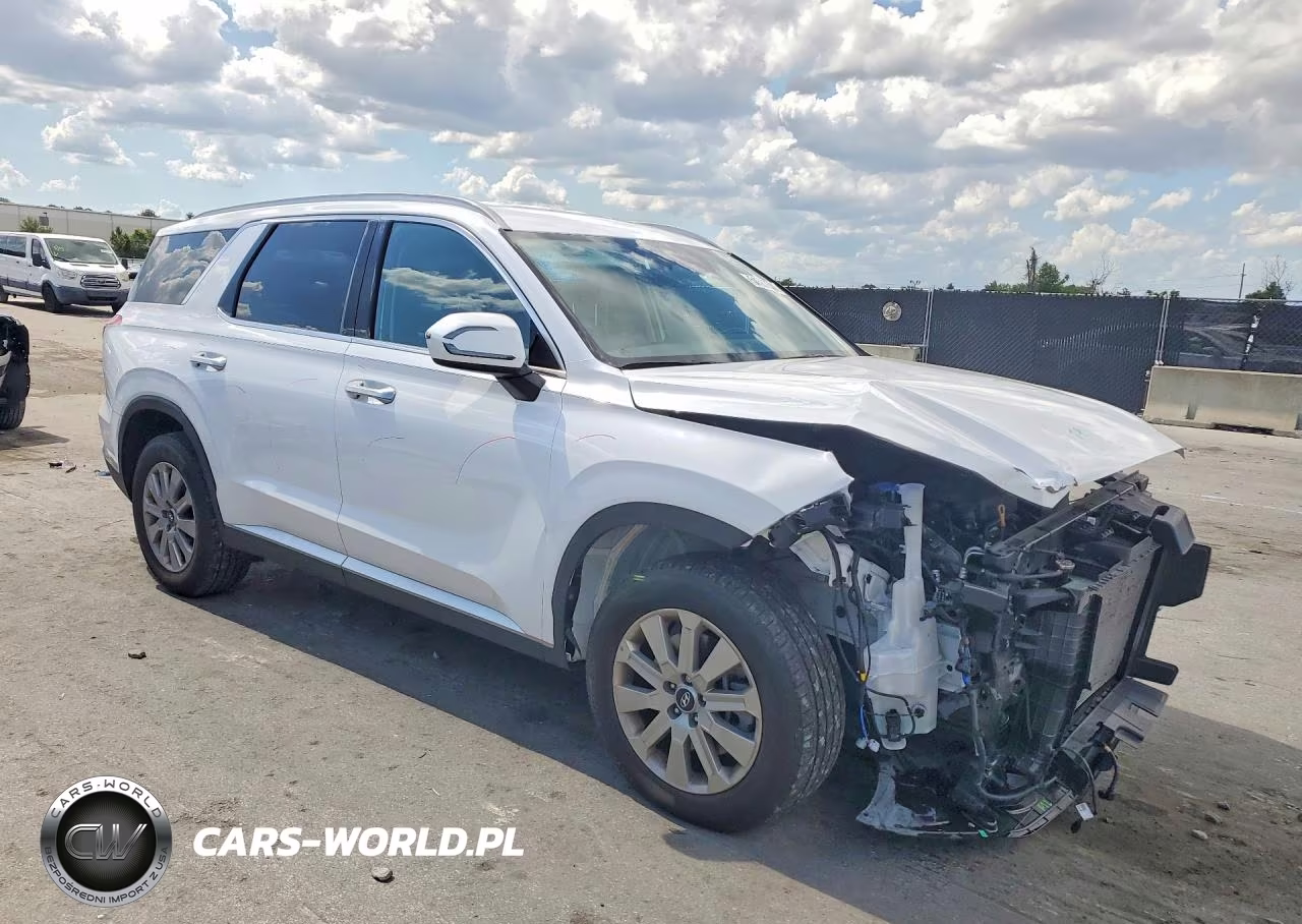 2025 Hyundai Palisade Sel VIN:KM8R24GE4SU880931 - 4