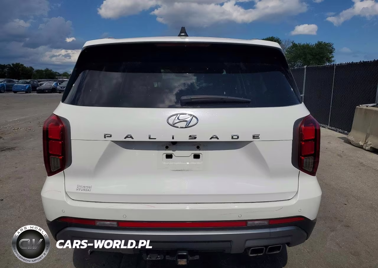 2025 Hyundai Palisade Sel VIN:KM8R24GE4SU880931 - 6
