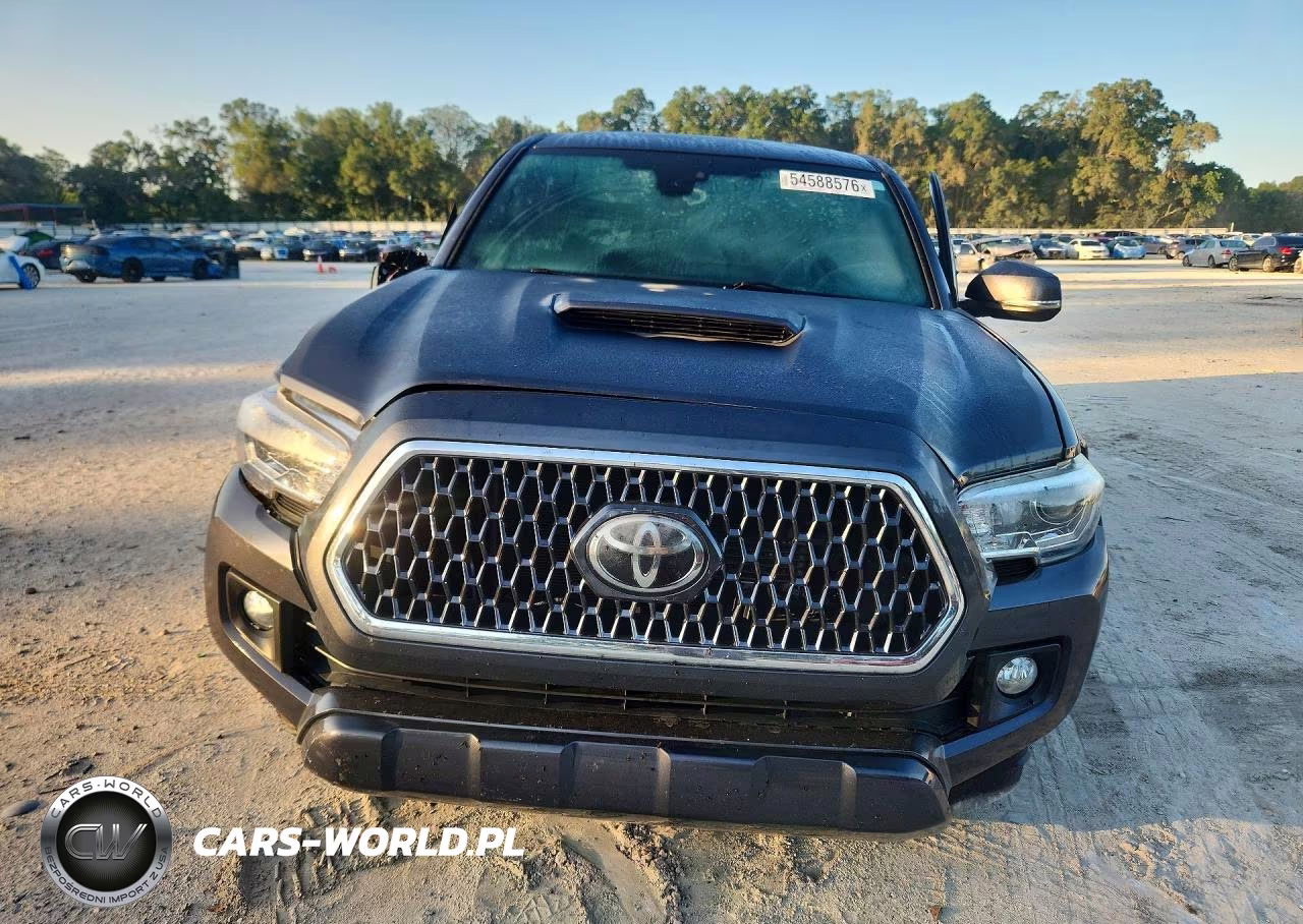 2019 Toyota Tacoma Trd Sport VIN:3TMAZ5CN5KM106166 - 5