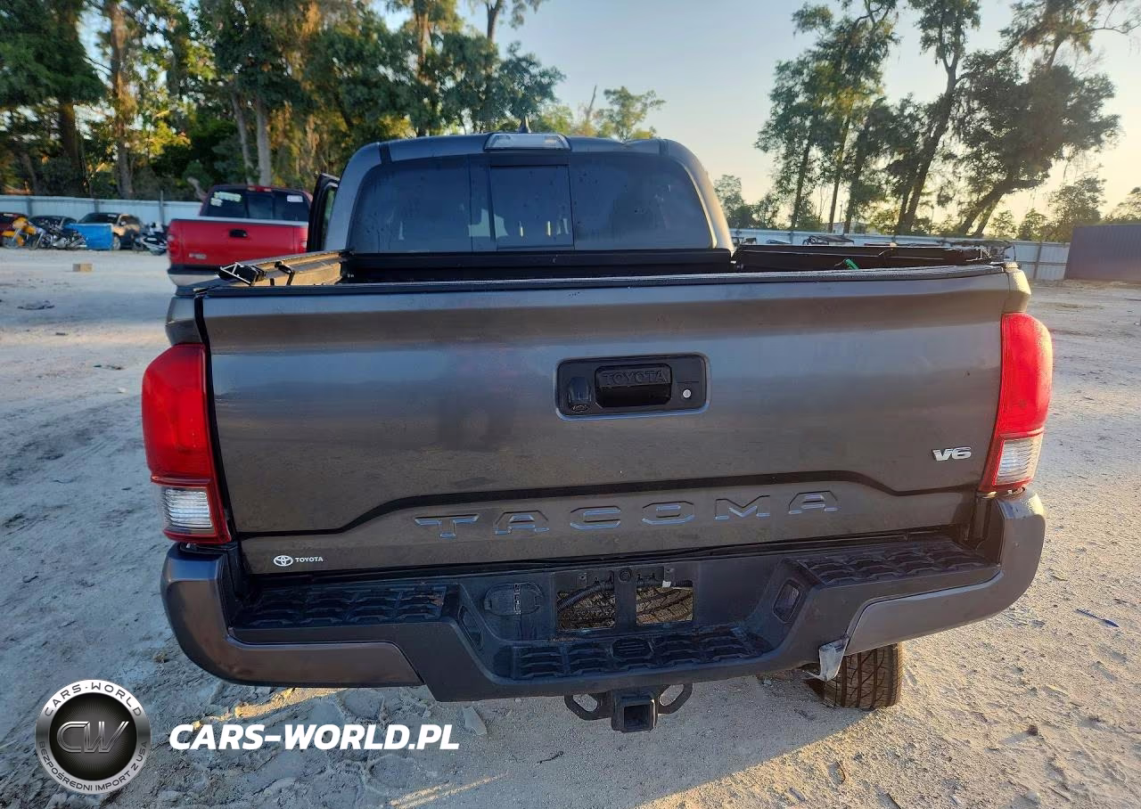 2019 Toyota Tacoma Trd Sport VIN:3TMAZ5CN5KM106166 - 6