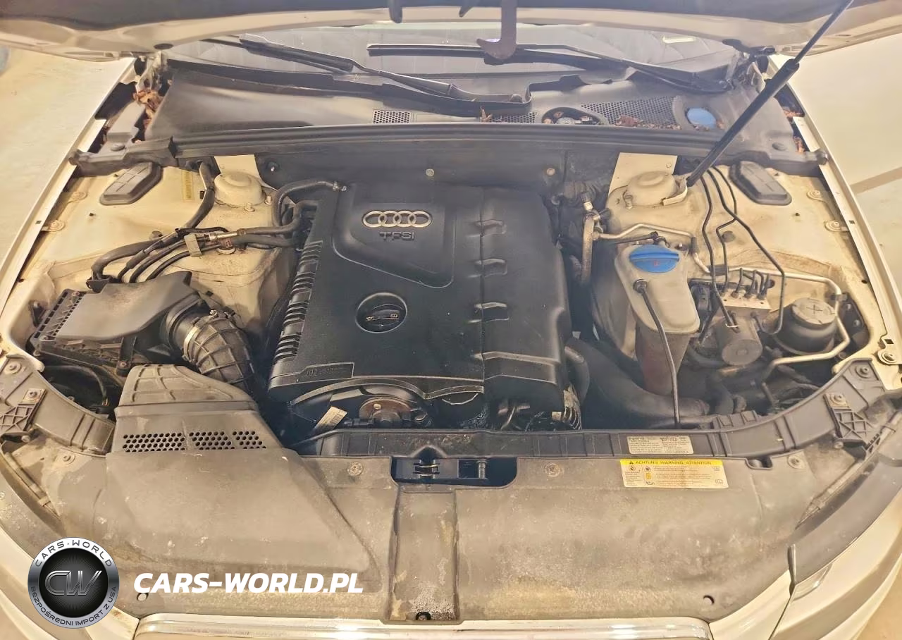 2012 Audi A4 Premium VIN:WAUSFAFL1CA087613 - 12