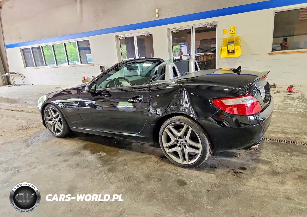 2015 Mercedes-Benz Slk 250 VIN:WDDPK4HA8FF097666 - 2