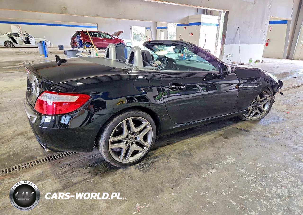 2015 Mercedes-Benz Slk 250 VIN:WDDPK4HA8FF097666 - 3