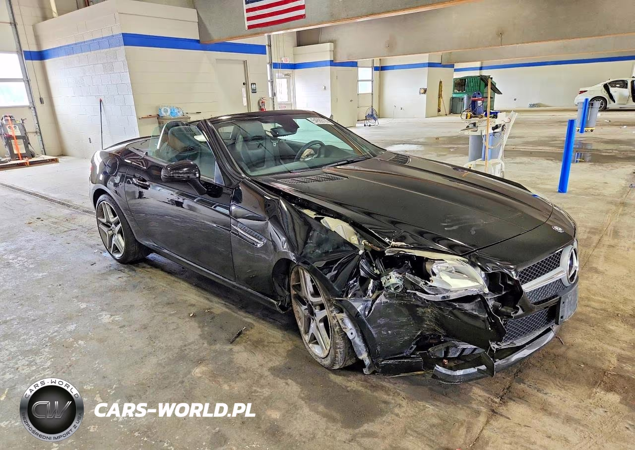 2015 Mercedes-Benz Slk 250 VIN:WDDPK4HA8FF097666 - 4