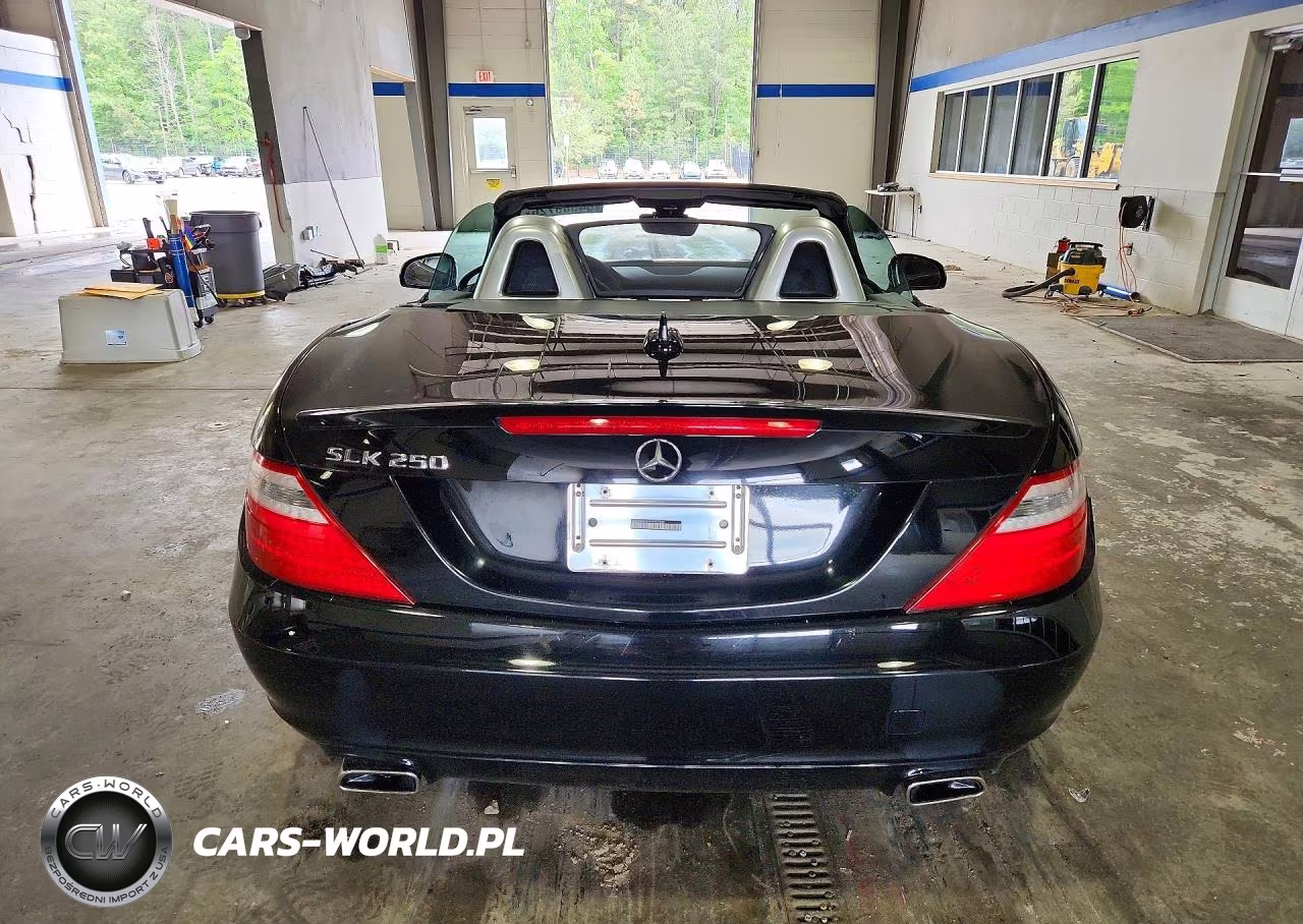 2015 Mercedes-Benz Slk 250 VIN:WDDPK4HA8FF097666 - 6