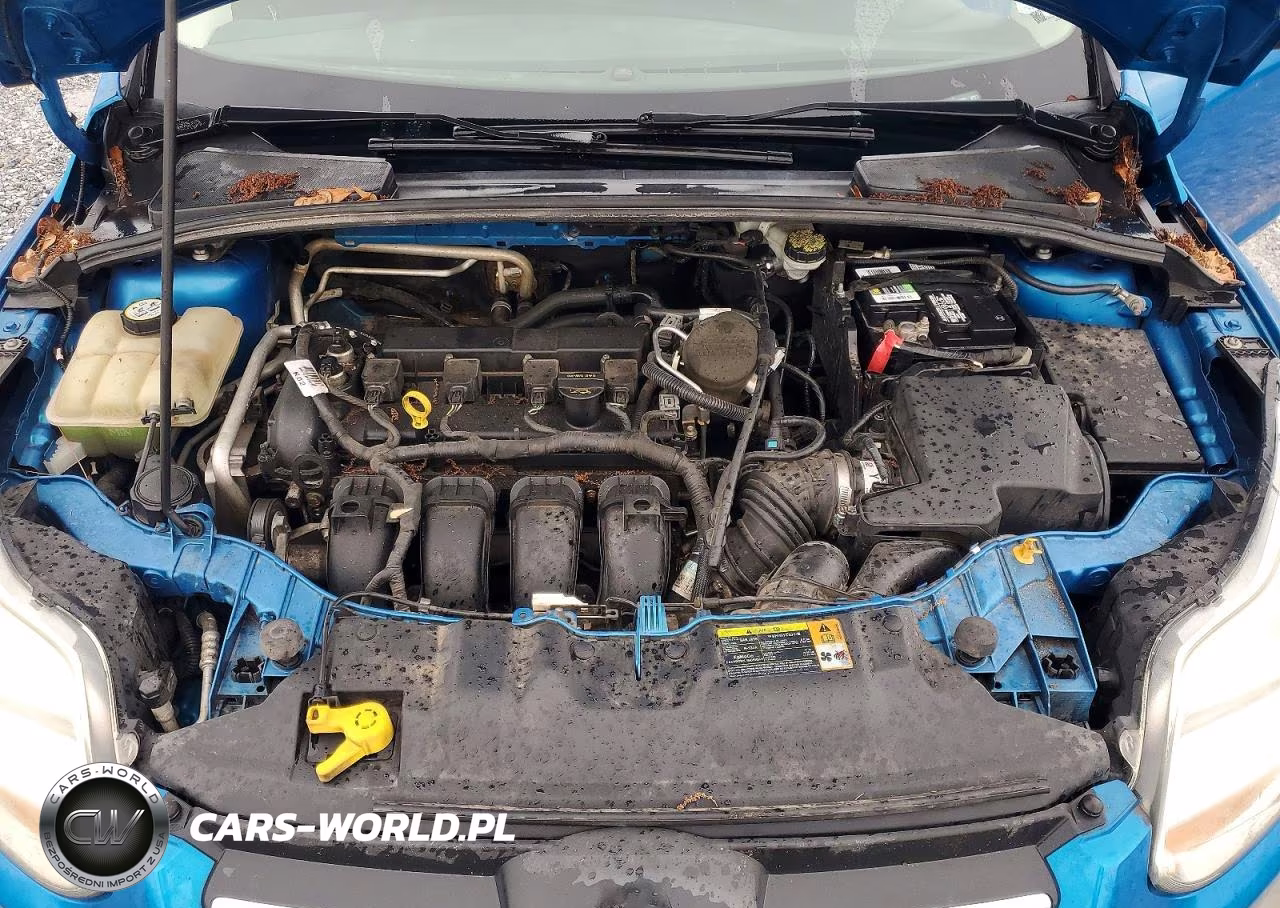 2012 Ford Focus Se VIN:1FAHP3F20CL205822 - 11