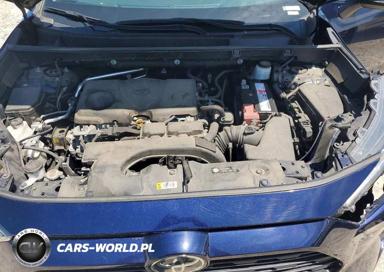 2019 Toyota Rav4 Xle VIN:2T3P1RFV2KC045685 - 12
