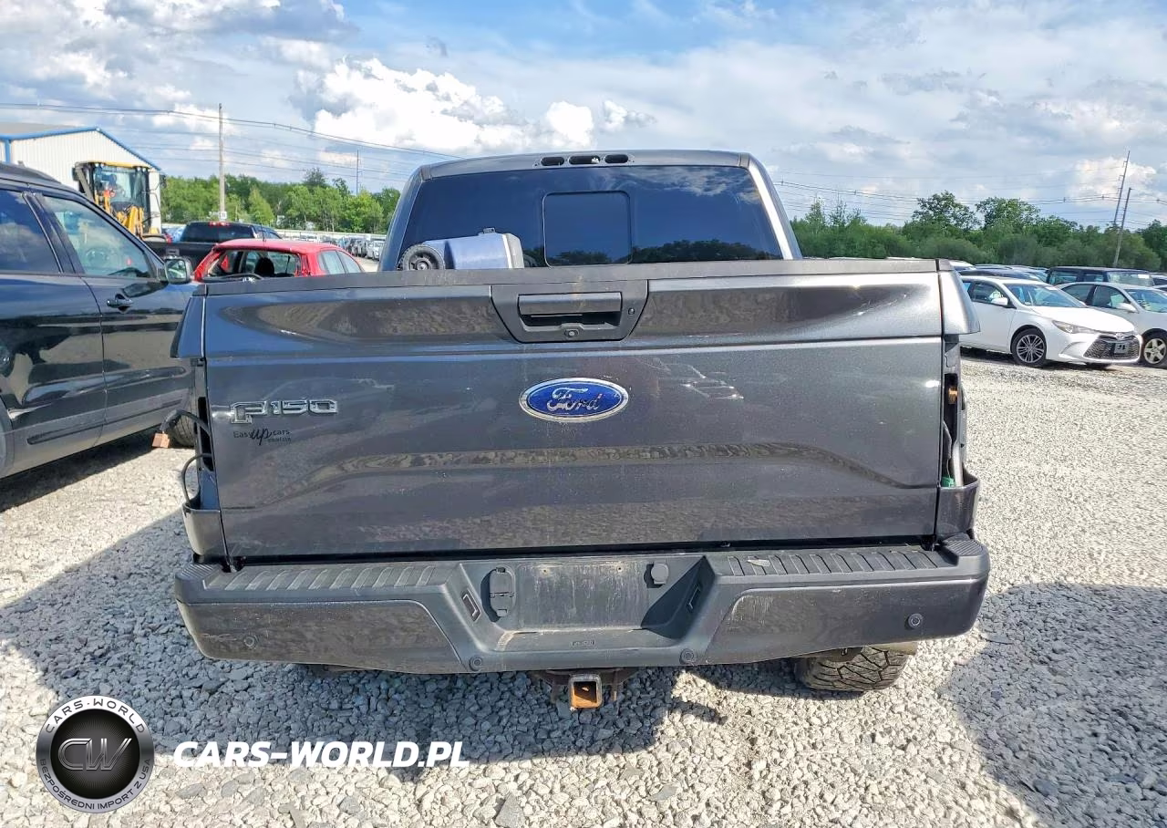2017 Ford F150 Supercrew VIN:1FTEW1EF9HFC64446 - 6