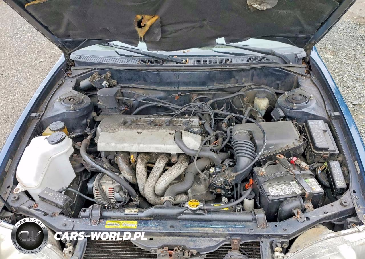 1998 Toyota Corolla Ve VIN:2T1BR18E0WC060296 - 11