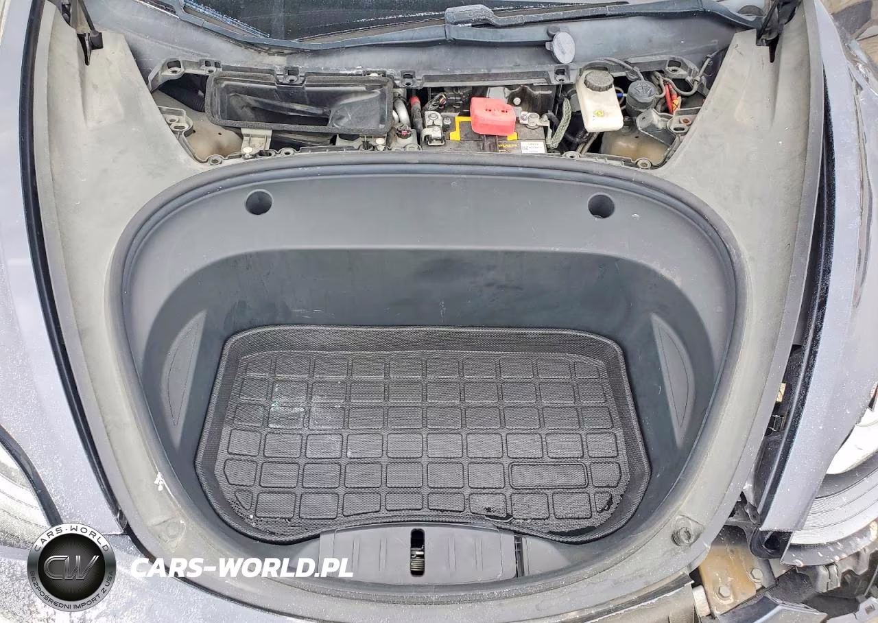 2021 Tesla Model 3 VIN:5YJ3E1EA2MF047124 - 11
