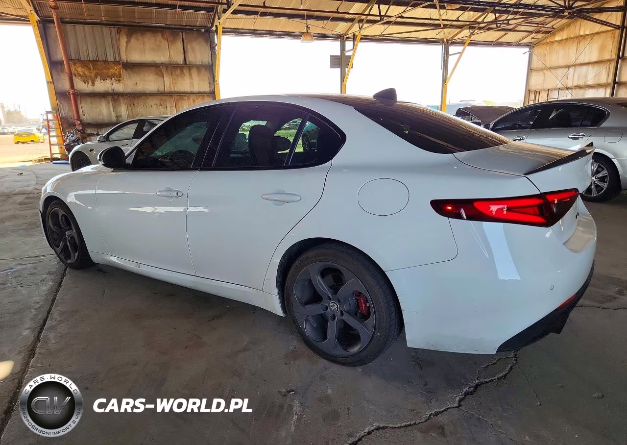 2017 Alfa Romeo Giulia VIN:ZARFAEBNXH7544544 - 2