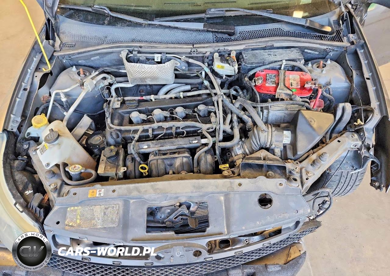 2010 Ford Focus Sel VIN:1FAHP3HNXAW233310 - 11