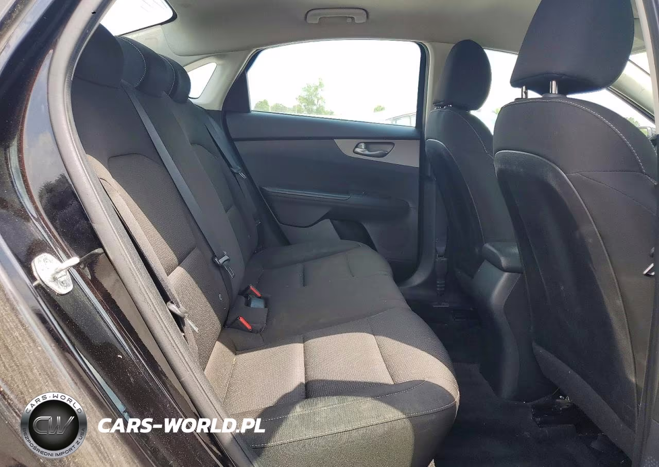 2020 Kia Forte Fe VIN:3KPF24AD3LE182043 - 10