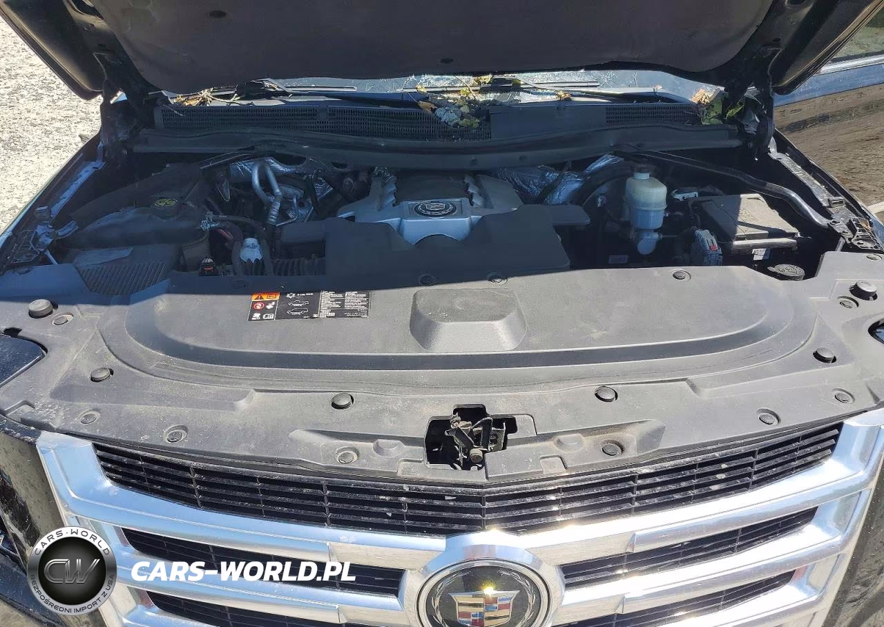 2015 Cadillac Escalade Premium VIN:1GYS4CKJ3FR178746 - 12