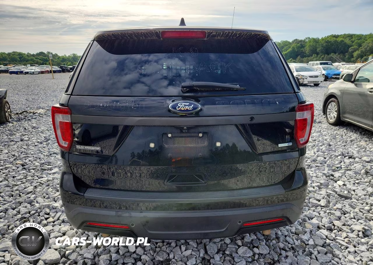 2018 Ford Explorer Police Interceptor VIN:1FM5K8AR7JGB33869 - 6