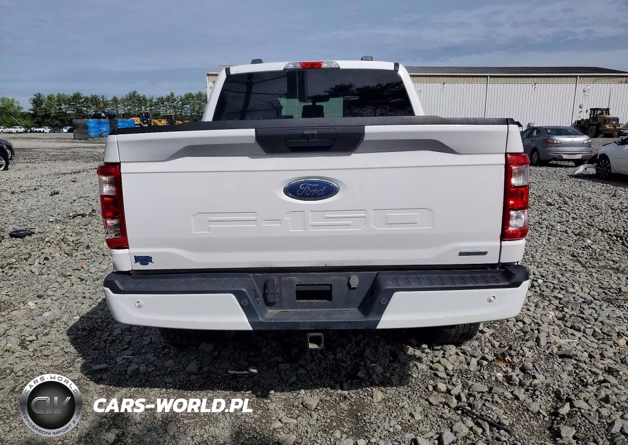 2023 Ford 150 VIN:1FTEW1EP8PKE20216 - 6
