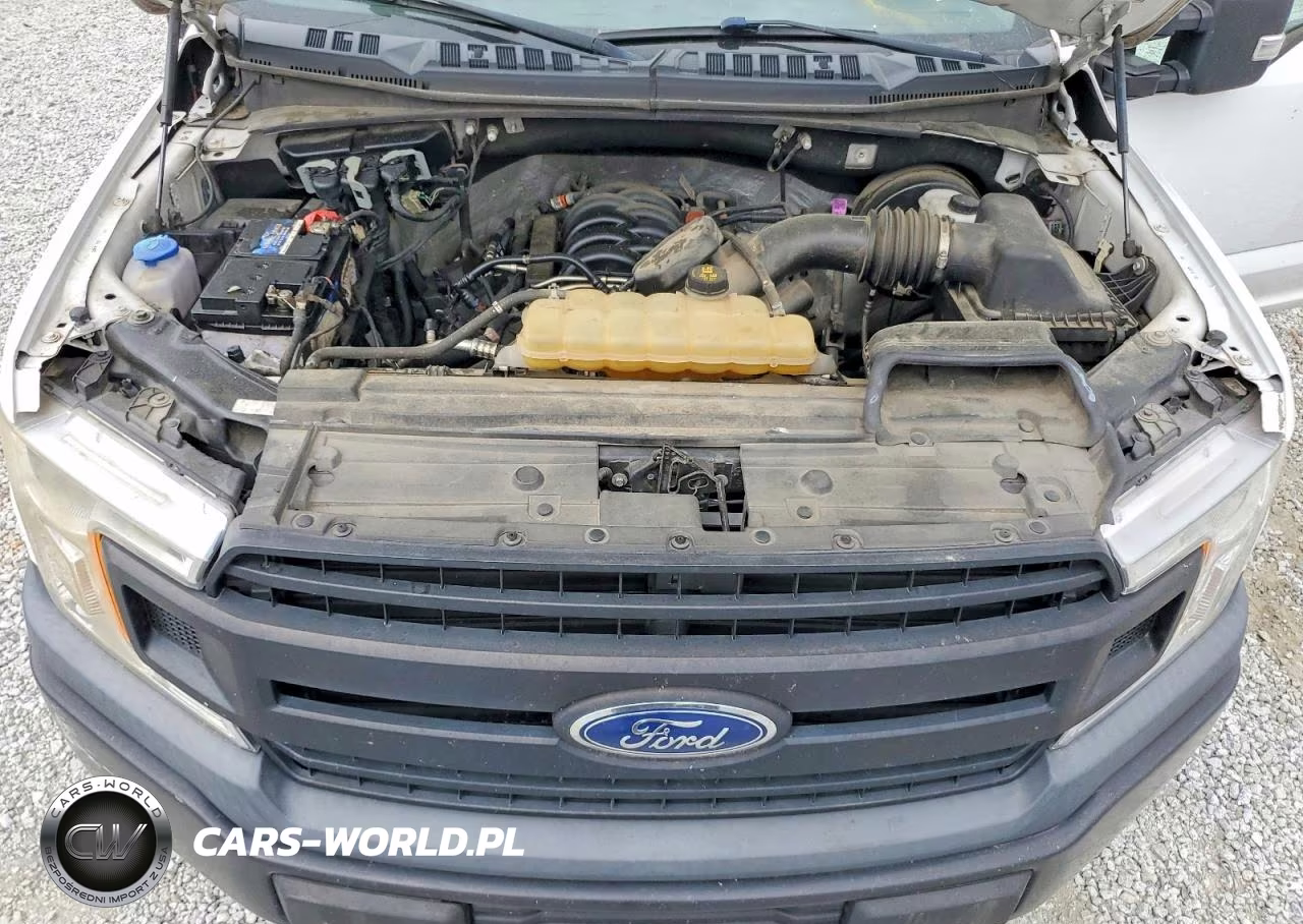 2019 Ford F150 VIN:1FTMF1C53KKD00412 - 11