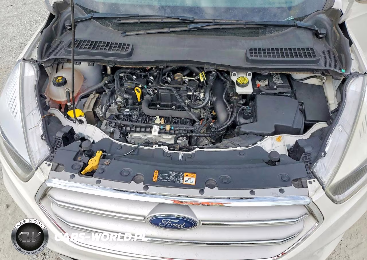 2019 Ford Escape Se VIN:1FMCU0GD9KUB99521 - 12