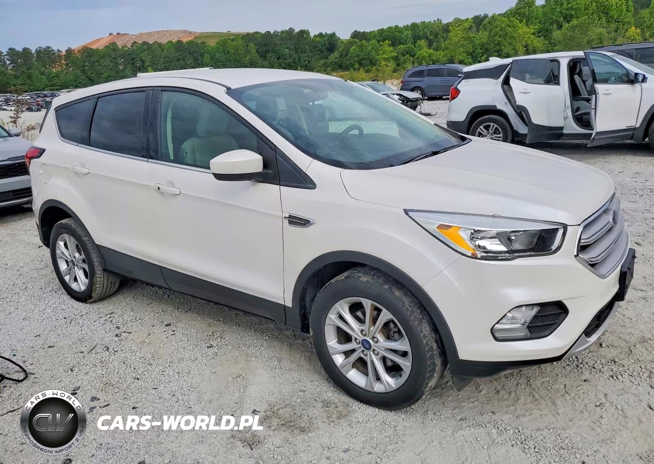 2019 Ford Escape Se VIN:1FMCU0GD9KUB99521 - 4