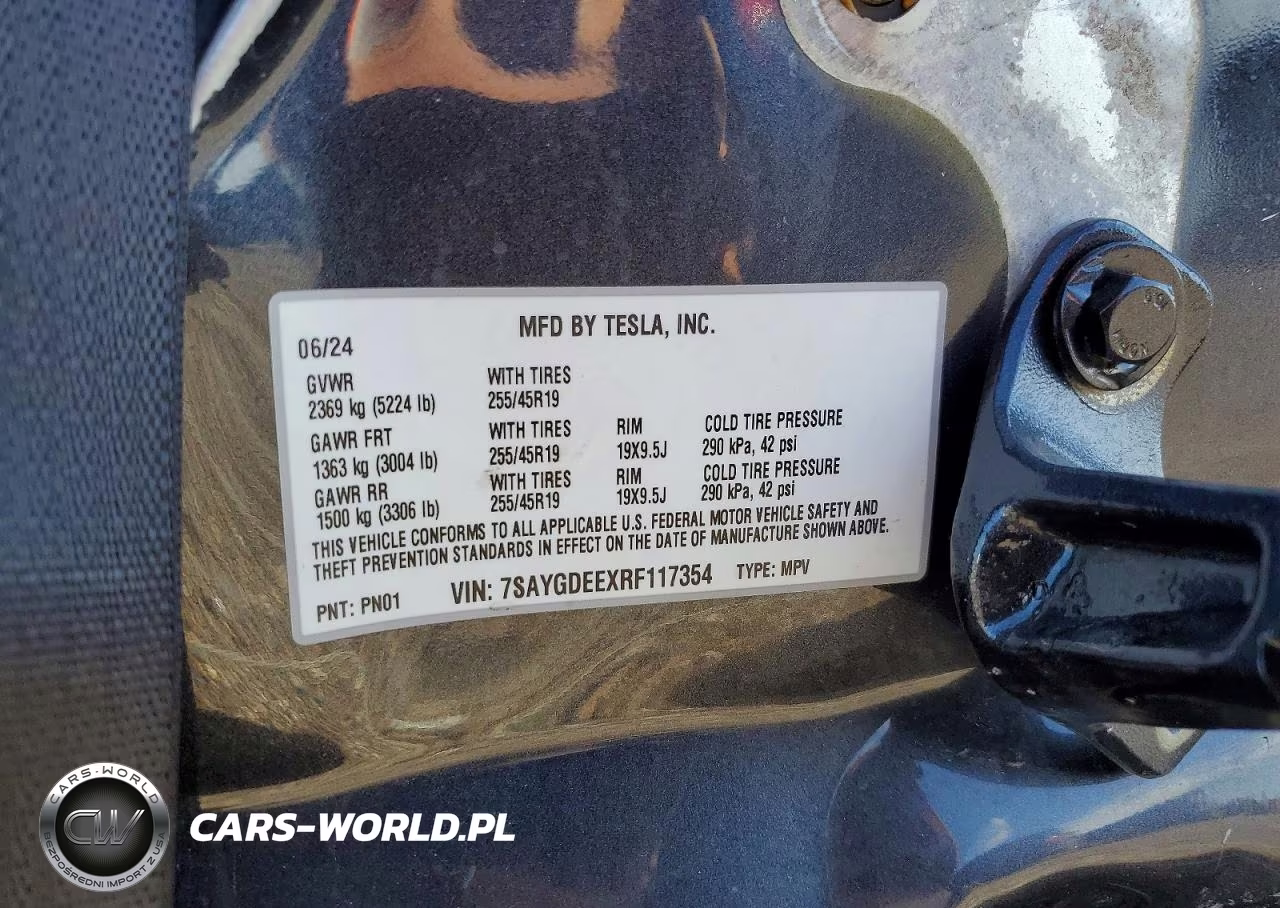 2024 Tesla Model Y VIN:7SAYGDEEXRF117354 - 12