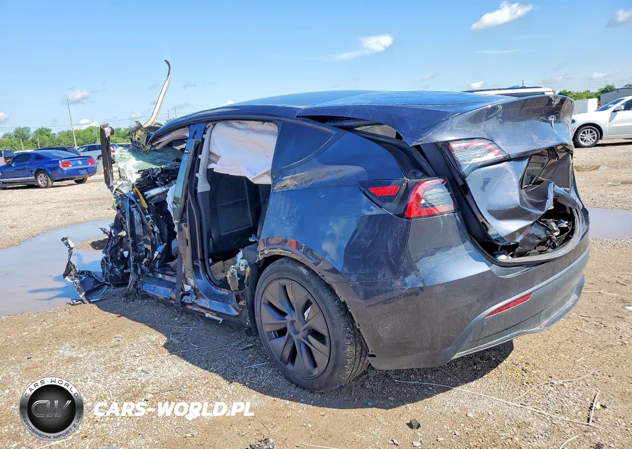 2024 Tesla Model Y VIN:7SAYGDEEXRF117354 - 2