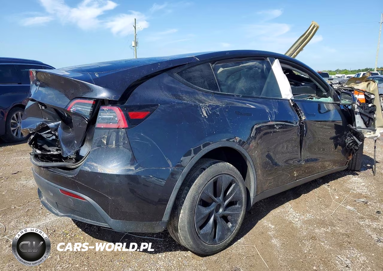 2024 Tesla Model Y VIN:7SAYGDEEXRF117354 - 3