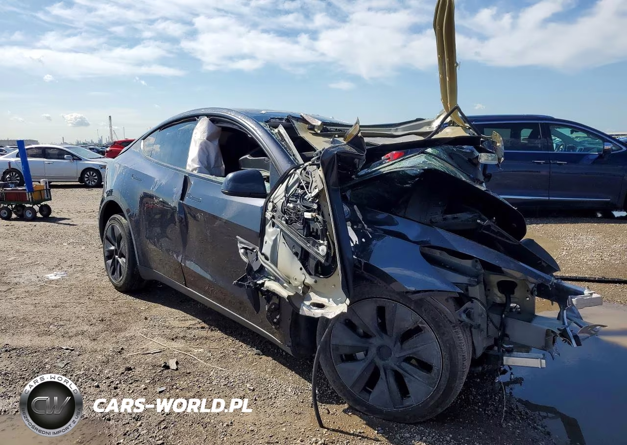 2024 Tesla Model Y VIN:7SAYGDEEXRF117354 - 4