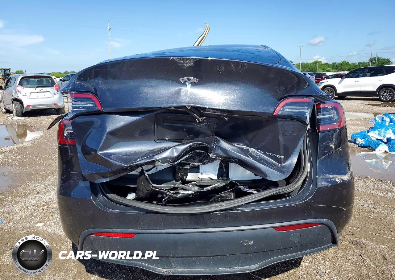 2024 Tesla Model Y VIN:7SAYGDEEXRF117354 - 6
